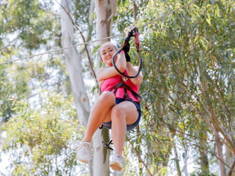 Accrobranche à Melrose, Johannesburg, Gauteng