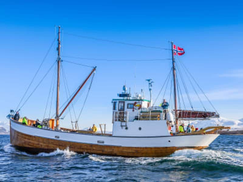 Billet Excursion dans un fjord et en bateau de pêche depuis Tromsø à bord d'un navire historique