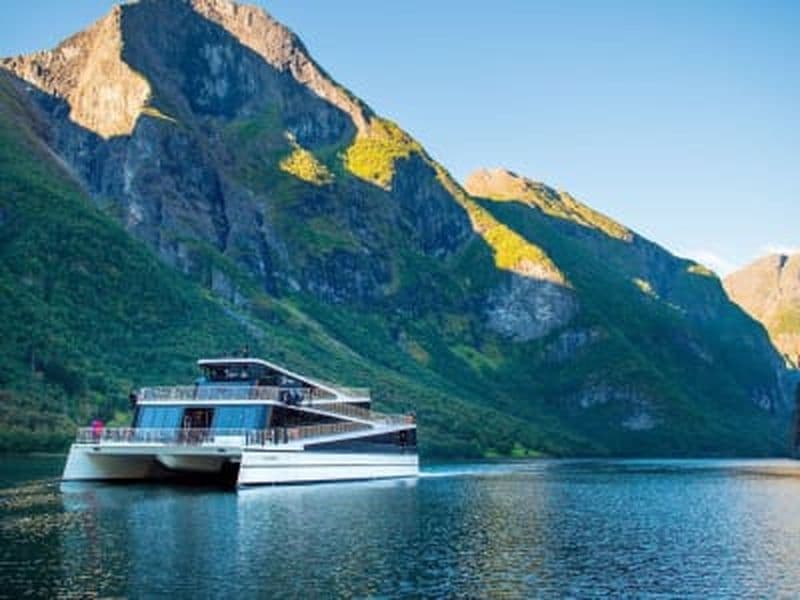 Billet Visite guidée de Nærøyfjord, Flåm et Stegastein au départ de Bergen