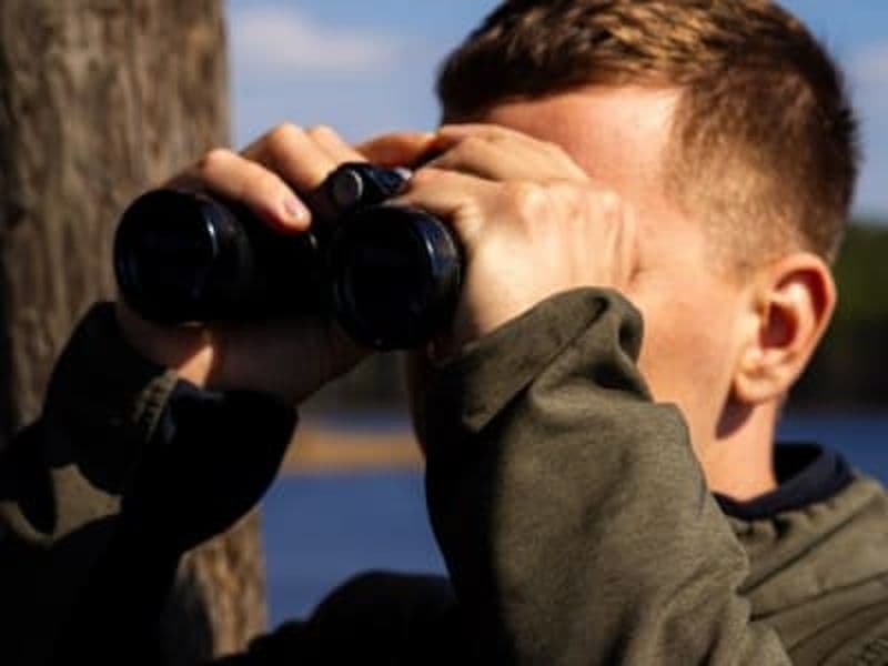 Observation des oiseaux et de la faune Arctique depuis Rovaniemi