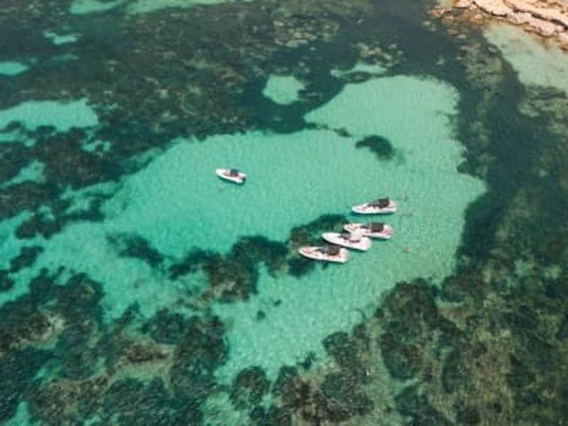 Billet Excursion en bateau à Ischia depuis Castellammare di Stabia