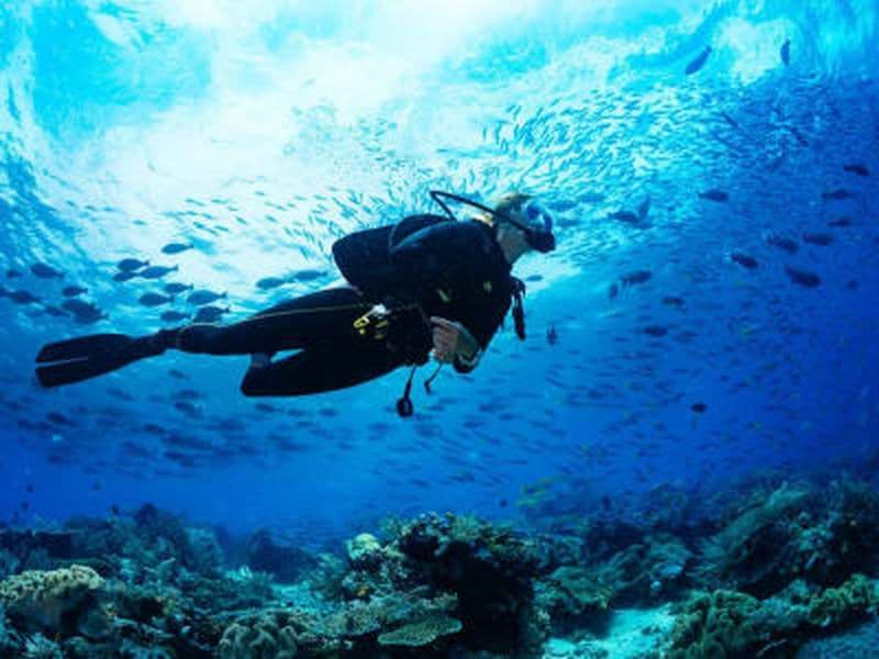 Plongée exploration dans la Réserve Cousteau depuis Bouillante, Guadeloupe