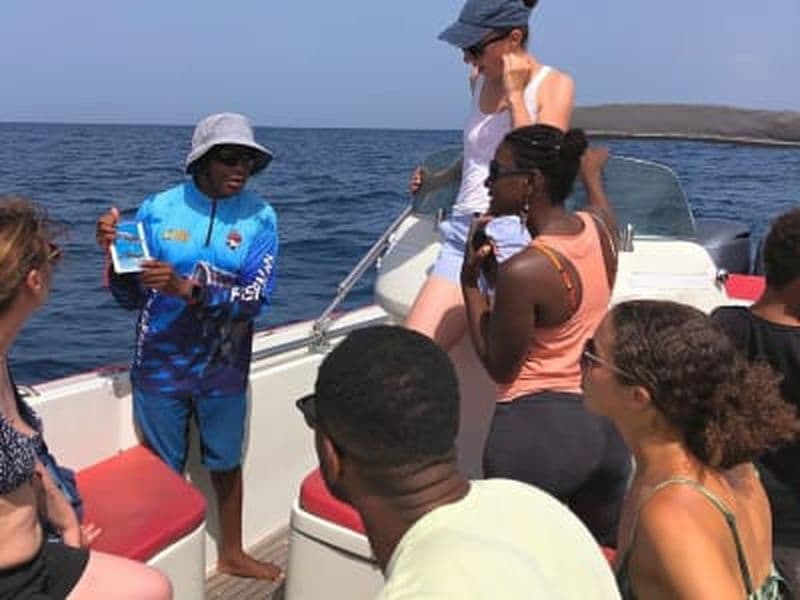 Observation des dauphins depuis Les Trois-Îlets en Martinique et snorkeling