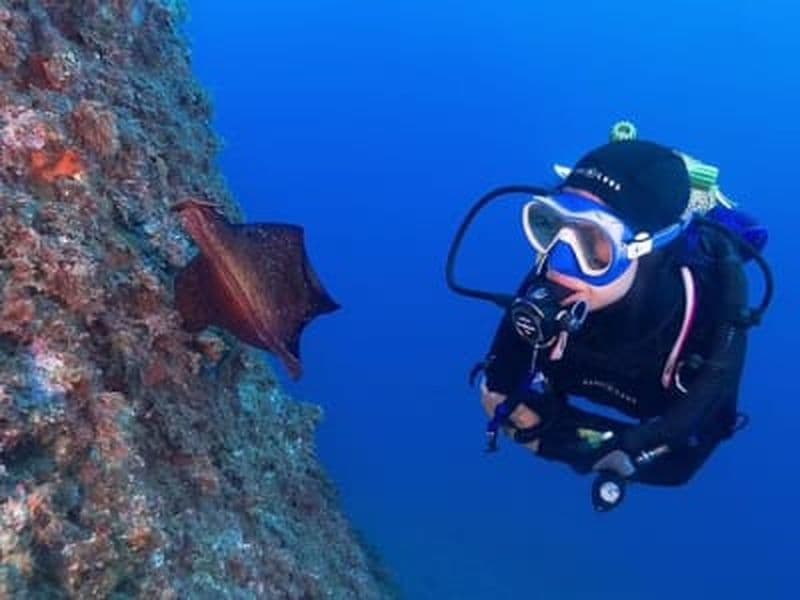 Initiation à la plongée sous-marine à Calella de Palafrugell, Costa Brava