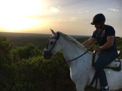 Randonnée à cheval depuis Séville à travers le parc national de Doñana