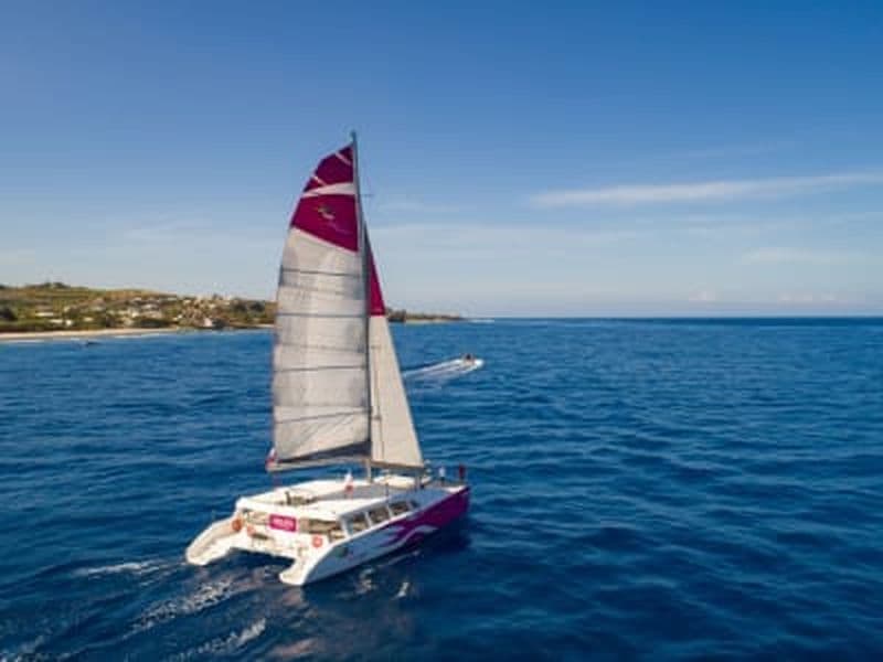 Balade en catamaran à La Réunion depuis Le Port