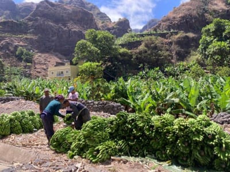Billet Visite guidée de Santo Antão depuis São Vicente