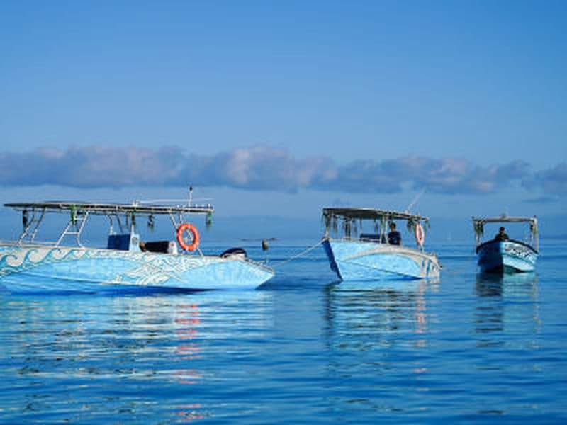 Billet Journée en bateau sur le lagon de Taha’a depuis Uturoa, Raiatea