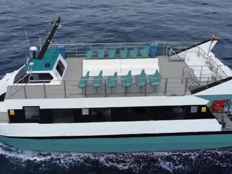 Billet Observation des dauphins en bateau à Fuengirola, Malaga