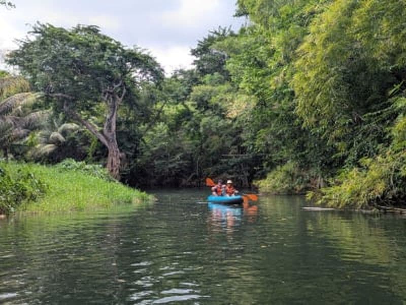 Billet Descente de la rivière Moustique en canoë en Guadeloupe depuis Sainte-Rose
