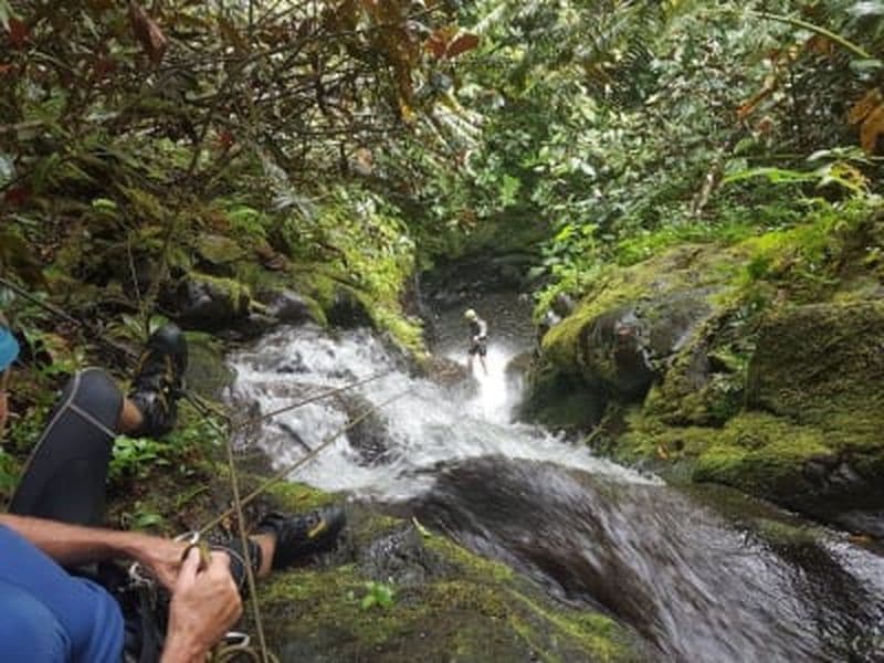 Canyon de Vaipurau dans la vallée de Papenoo, Tahiti