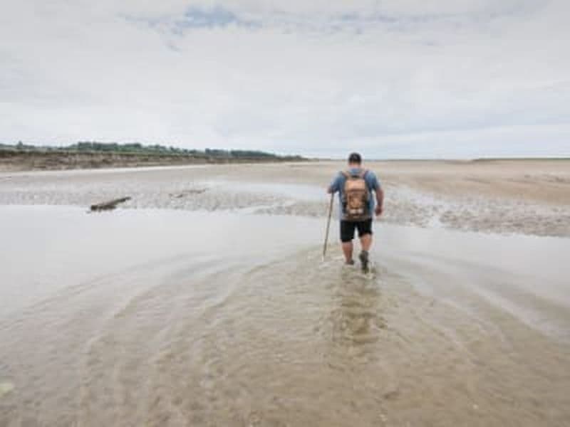 Randonnée guidée avec observation des oiseaux et phoques dans la Baie de Somme