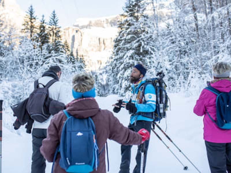Billet Découverte de la randonnée en raquettes dans la vallée du Giffre près de Samoëns