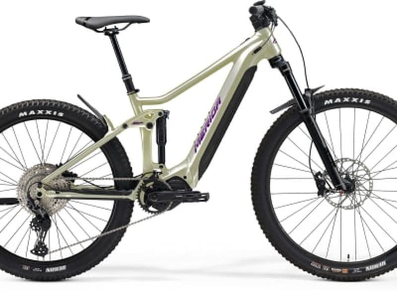 Billet Chalet-Hôtel La Chemenaz : location de VTT enduro électrique