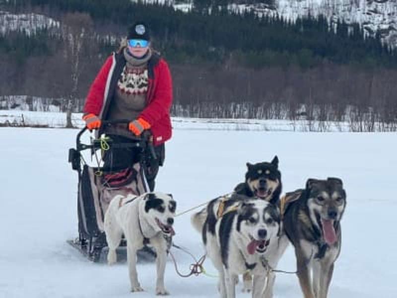 Billet Excursion de conduite en chien de traîneau à Skibotn, près de Tromsø