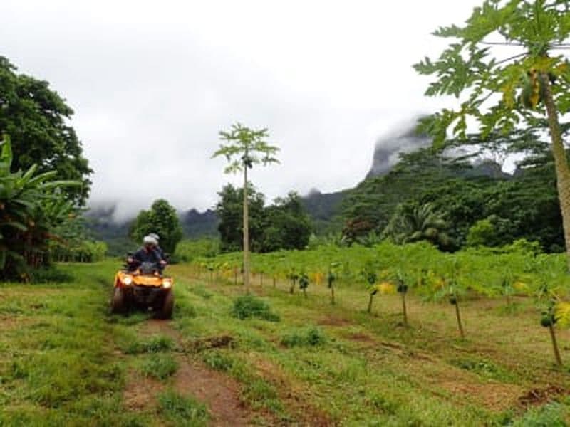 Randonnée guidée en quad à Moorea
