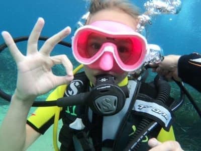 Billet Baptême de plongée dans l'archipel de La Maddalena, Sardaigne