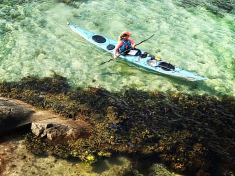 Excursion en kayak de mer et plongée en apnée dans les algues à partir de Grebbestad dans le Bohuslän