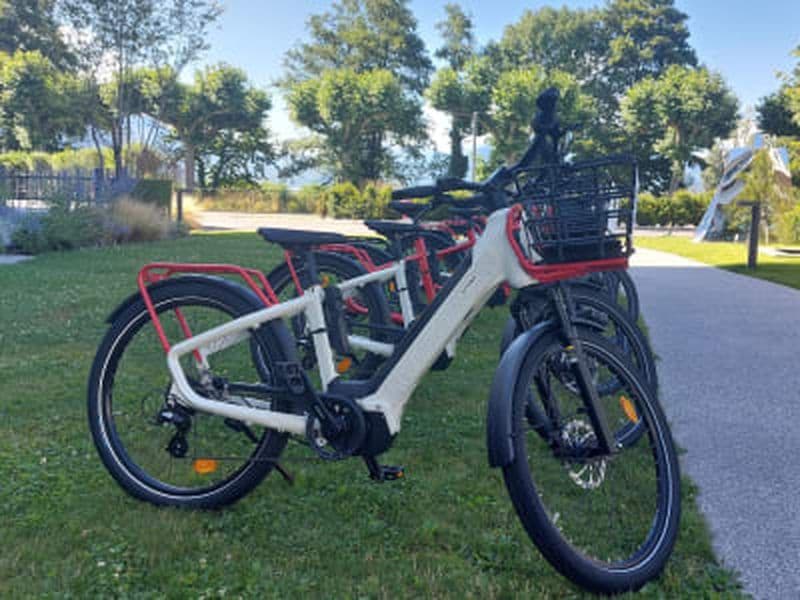 Billet Location de vélo électrique à Annecy et paddle sur le lac
