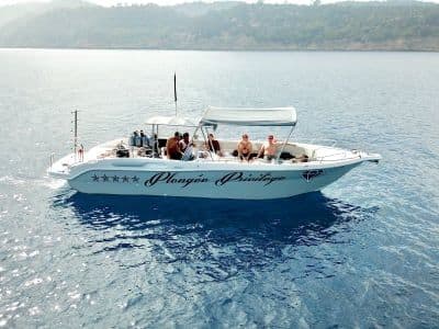 Billet Balade en bateau et snorkeling au départ de Bormes-les-Mimosas