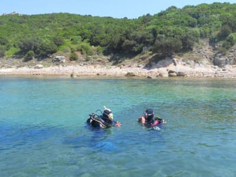 Billet Baptême de plongée à La Maddalena, Sardaigne