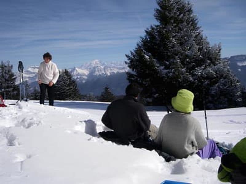 Billet Randonnée en raquettes à neige à Combloux, face au Mont Blanc