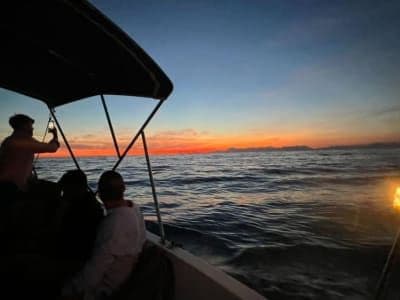 Croisière coucher du soleil en gozzo depuis Agropoli dans le Cilento