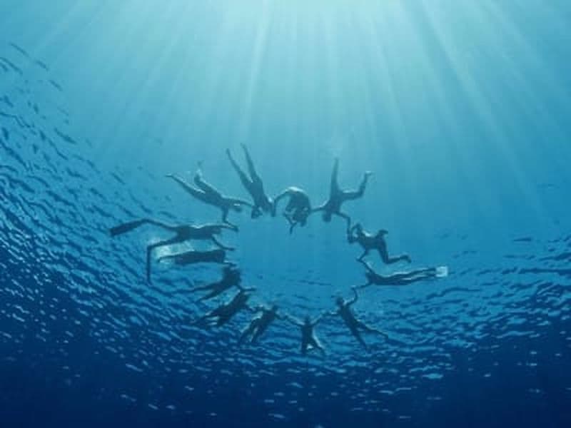 Billet Excursion snorkeling avec les Big Fish du lagon de Mayotte