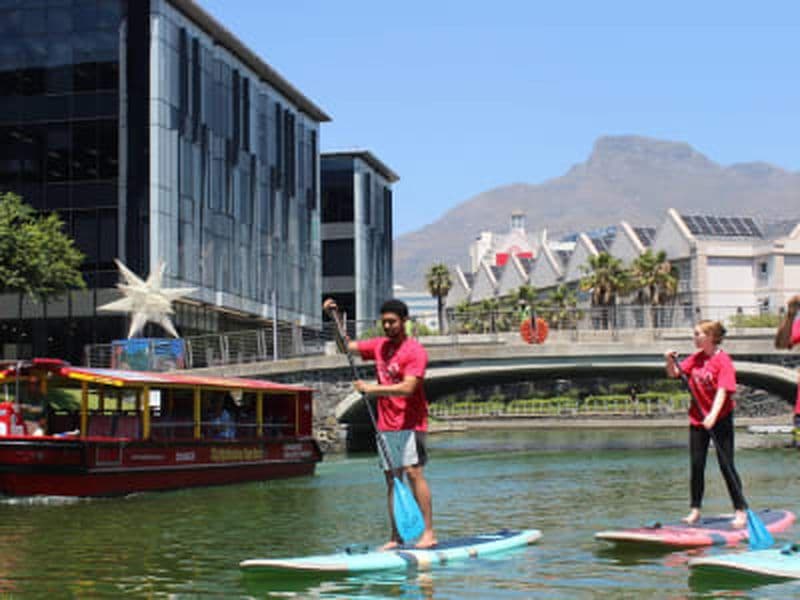 Location de stand up paddle au Cap