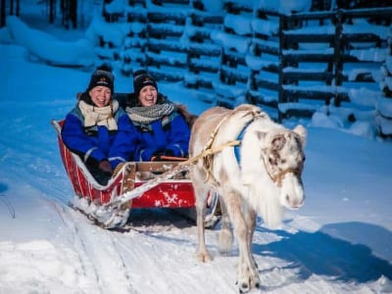 Billet Safari aux aurores boréales et aux rennes à Ylläs