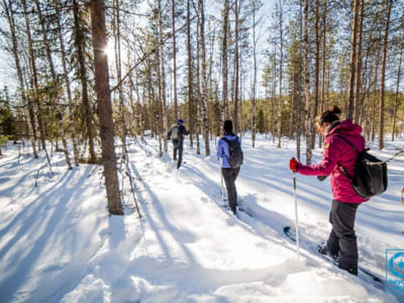Billet Excursion de ski hors-piste en Laponie au départ de Rovaniemi