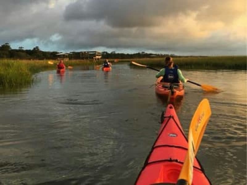 Excursion en kayak ou en Stand Up Paddling dans les canaux de Murtosa, près d'Aveiro