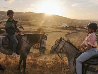 Randonnée à cheval au coucher du soleil à Paros