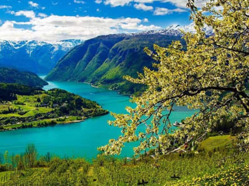 Billet Excursion touristique privée au Hardangerfjord et au Mont Hanguren depuis Bergen