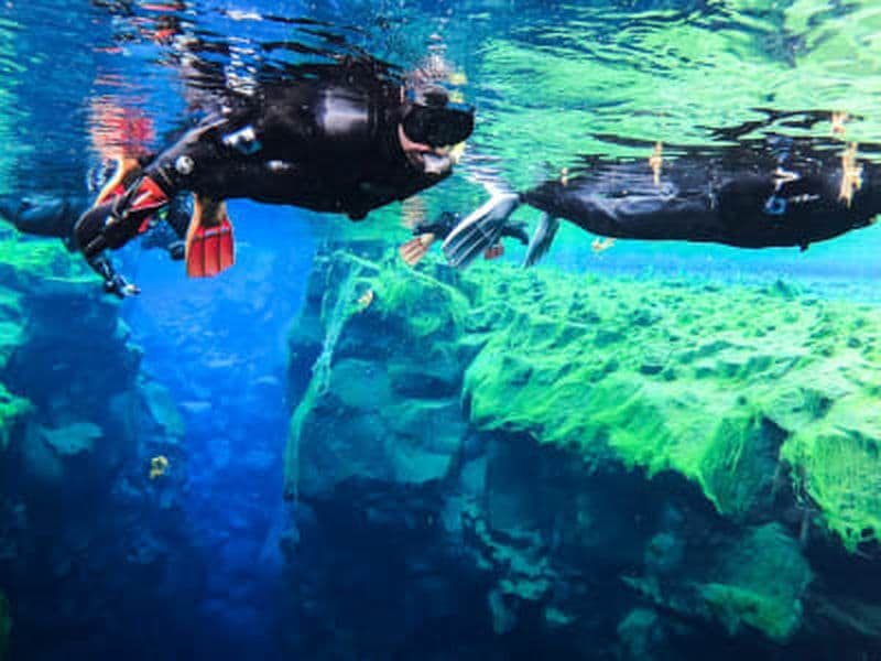 Billet Snorkeling dans la faille de Silfra au Parc National de Þingvellir, près de Reykjavík