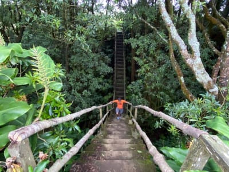 Billet Randonnée guidée à Janela do Inferno et Caldeira Velha, São Miguel, Açores