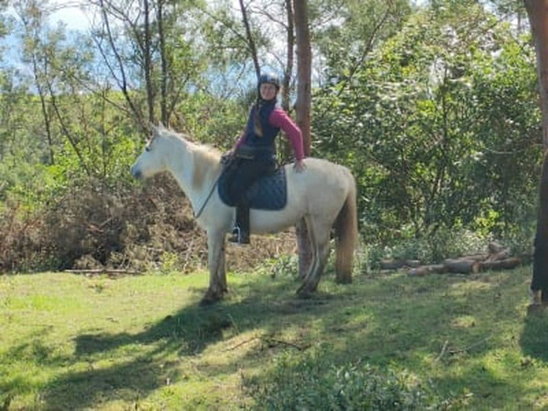 Balade à cheval débutant sur le Piton Maïdo, La Réunion