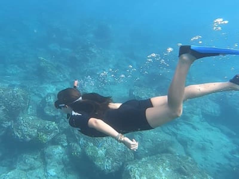 Excursion snorkeling dans la Réserve Cousteau, Guadeloupe