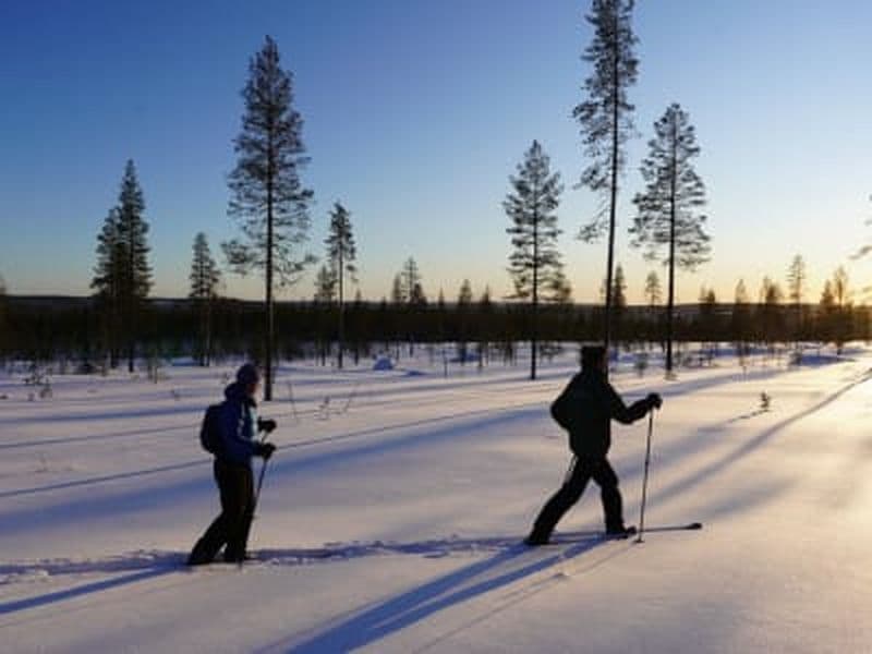 Billet Excursion de ski hors-piste en Laponie près de Rovaniemi