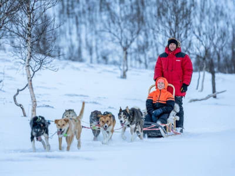 Billet Excursion intermédiaire de conduite de chiens de traîneau depuis Tromsø