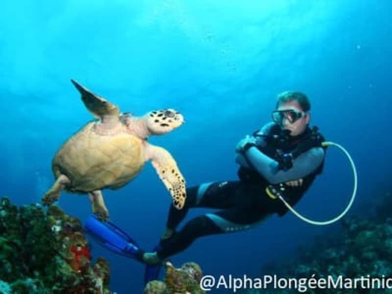 Billet Plongée exploration aux Anses-d'Arlet, Martinique