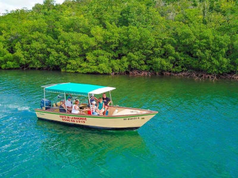 Billet Balade en bateau aux Trois-Îlets à la découverte de la mangrove de la baie de Génipa, Martinique