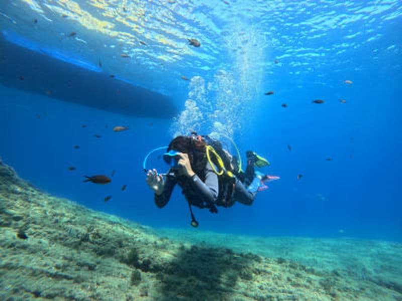 Découverte de la plongée sous-marine au Cap d’Agde avec photos et vidéos