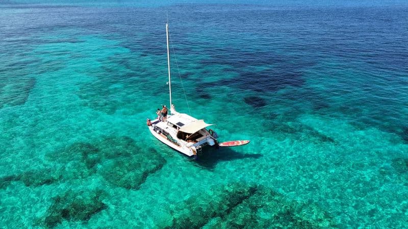 Billet Explorez Espalmador, Saona et bien plus encore – Excursion d'une journée en catamaran