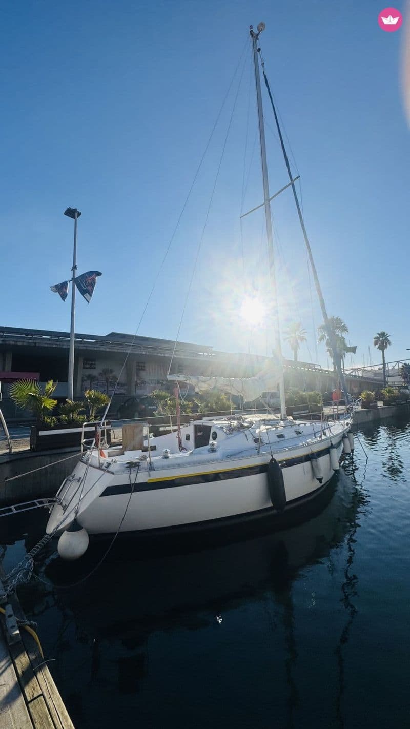 Billet Lumière du matin – Une escapade rafraîchissante de 3 heures en bateau