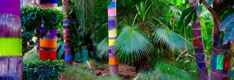 Billet Billet pour le jardin Anima