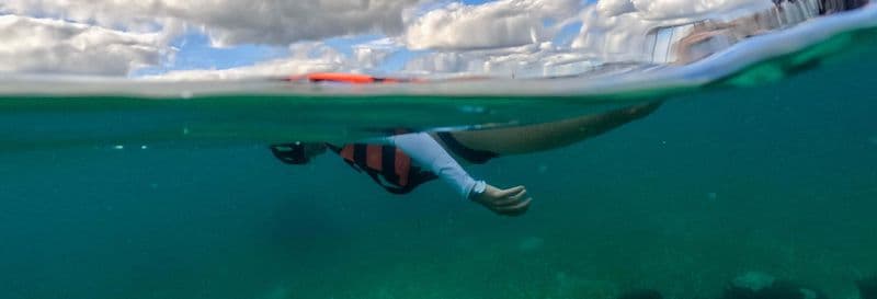 Billet Snorkeling à Puerto Morelos