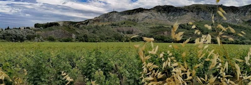 Billet Visite guidée privée en Citroën 2CV aux villages des Aspres