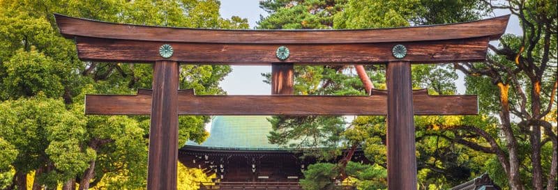 Billet Free tour dans le sanctuaire Meiji et le parc Yoyogi