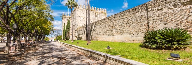 Billet Visite guidée dans Xérès